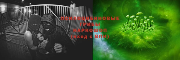 гашик Алзамай