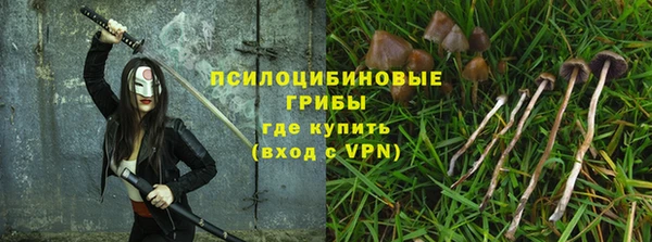 спиды Алексин