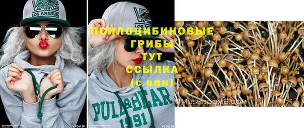 гашик Алзамай