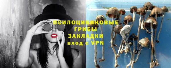кокс Алексеевка