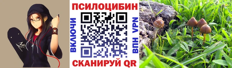 omg онион  даркнет сайт  Ленинск-Кузнецкий  Псилоцибиновые грибы MAGIC MUSHROOMS 