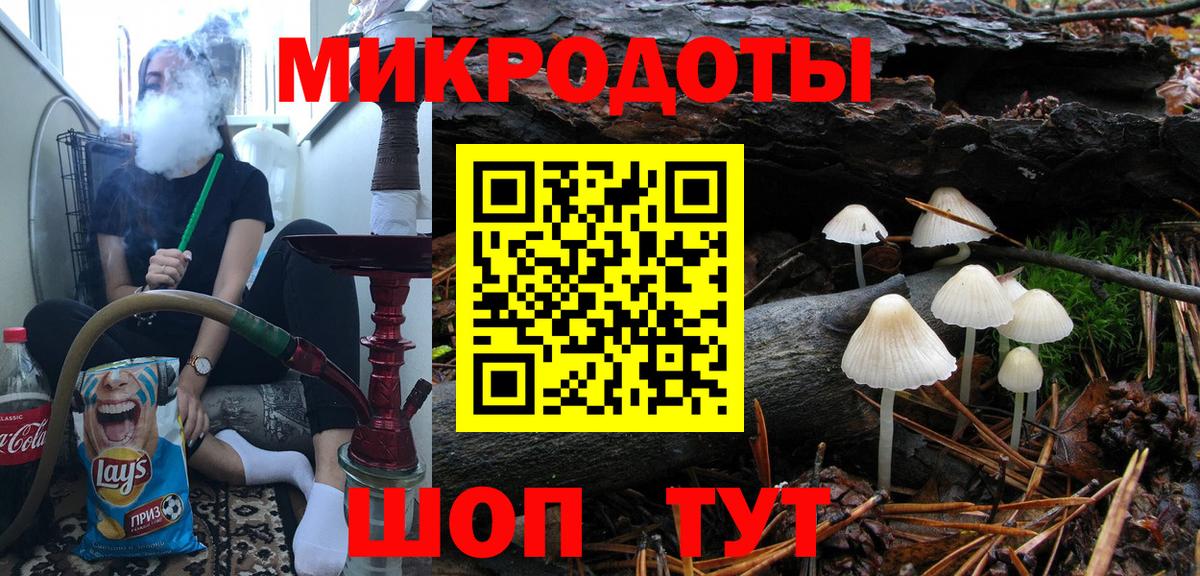 Псилоцибиновые грибы Psilocybine cubensis  Вход с VPN  Ленинск-Кузнецкий 