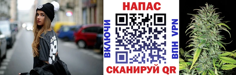 Канабис план хочу Ленинск-Кузнецкий